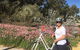 Perth Bike Tour - Beautiful Matilda Bay And Kings Park - thumb 1