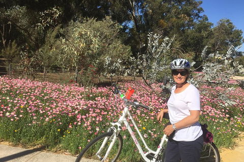 Perth Bike Tour - Beautiful Matilda Bay And Kings Park - Accommodation Asia 1
