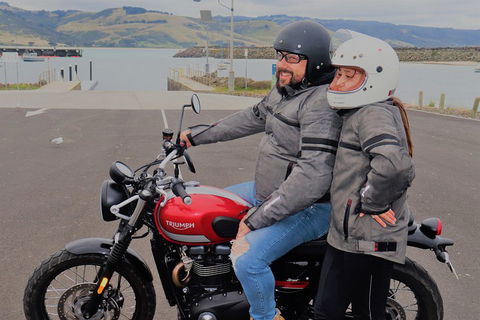 Triumph Street Scrambler 900cc - Accommodation Guide 1