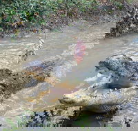 Top End Waterfalls and Wetlands - Accommodation China