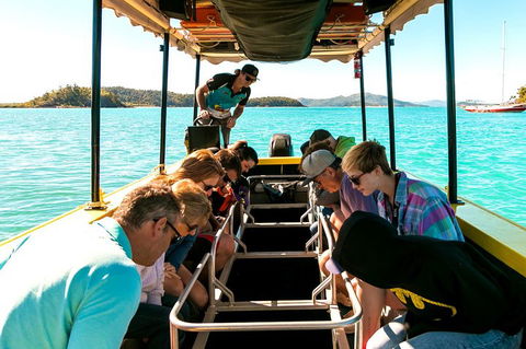 Airlie Beach Glass Bottom Boat Tour - Accommodation Guide 1