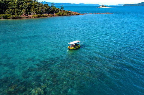 Airlie Beach Glass Bottom Boat Tour - Accommodation Guide 4