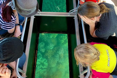 Airlie Beach Glass Bottom Boat Tour - Accommodation Guide 5