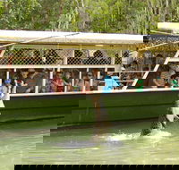 Hartley's Crocodile Adventure Half-Day Tour - Accommodation Asia