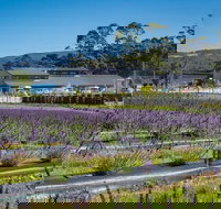 Private Hobart Discover South East Food and Scenic Tour - Accommodation China