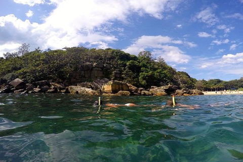 Manly And Shelly Beach Snorkeling Tour - Accommodation Asia 4
