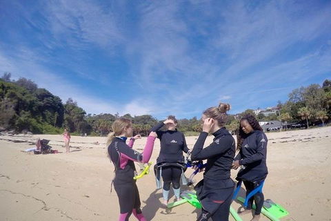 Manly And Shelly Beach Snorkeling Tour - Accommodation Asia 5