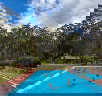 Tahune Airwalk Active Day Trip from Hobart Including Hastings Caves - Accommodation China