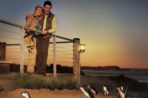 The Ultimate Melbourne Attractions Pass - Accommodation Guide 3