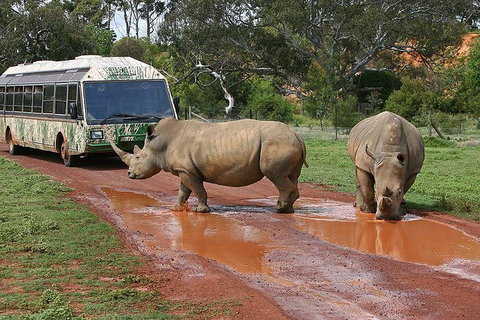 The Ultimate Melbourne Attractions Pass - Accommodation Guide 4