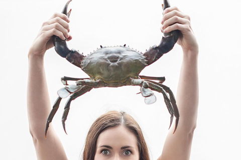 The Ultimate Gold Coast Attractions Pass - Accommodation Asia 0