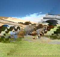 Richmond Historic Afternoon Tour from Hobart - Accommodation China