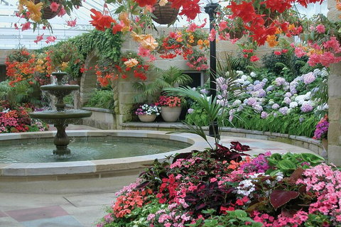 Hobart Half-Day Sightseeing Coach Tram Tour - Accommodation China 3