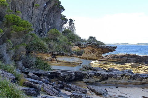 Day Trip To Cronulla & The Royal National Park - Accommodation Guide 4