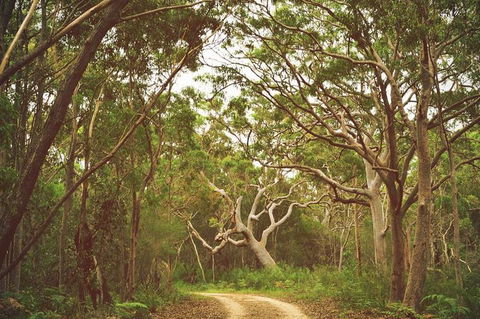 Day Trip To Cronulla & The Royal National Park - Accommodation Guide 5