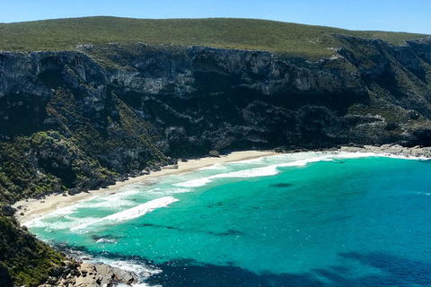 Kangaroo Island Scenic Trail Tour - Accommodation Asia 4