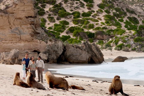 Kangaroo Island Scenic Trail Tour - Accommodation Asia 5