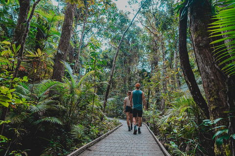 Full Day Cooktown Private Tour - Accommodation Guide 0