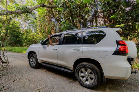 Full Day Cooktown Private Tour - Accommodation Guide 3