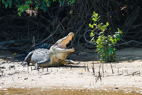 Full Day Cooktown Private Tour - Accommodation Guide 4