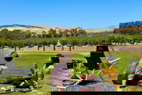 Private Picnic and Wine Tasting Experience in Barossa Valley, Adelaide