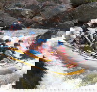 Barron River Half-Day White Water Rafting from Cairns - Accommodation Guide