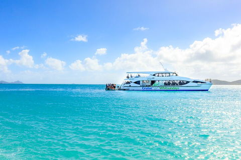 Whitehaven Beach And Daydream Island Cruise - Accommodation Guide 2