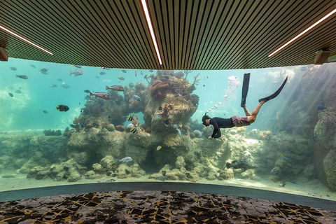 Whitehaven Beach And Daydream Island Cruise - Accommodation Guide 4