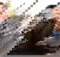 Bonorong Wildlife Park and Richmond Afternoon Tour from Hobart - Accommodation China