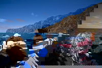 Seal Island Boat Tour from Victor Harbor, Adelaide