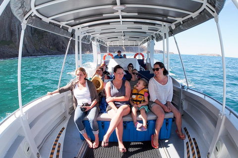 Seal Island Boat Tour From Victor Harbor - Accommodation Asia 1