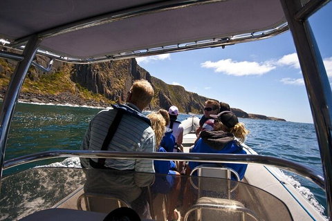 Seal Island Boat Tour From Victor Harbor - Accommodation Asia 2