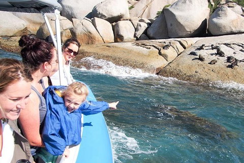 Seal Island Boat Tour From Victor Harbor - Accommodation Asia 4