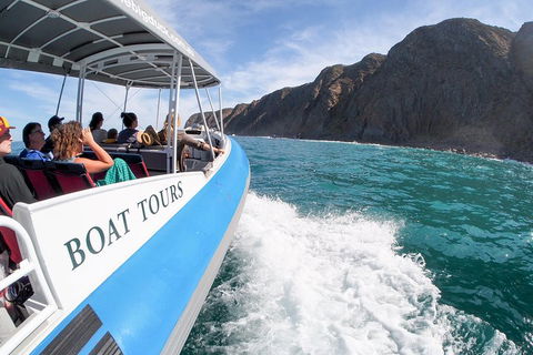 Southern Ocean Adventure From Victor Harbor - Accommodation Guide 0