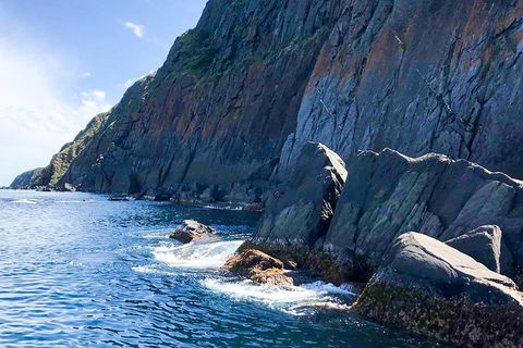 Southern Ocean Adventure From Victor Harbor - Accommodation Guide 3