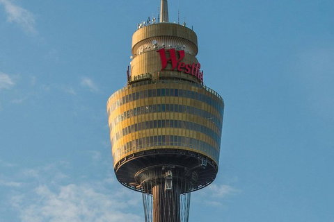 Hop-On Hop-Off Bus And PLUS 4 Merlin Attractions - Accommodation Guide 3