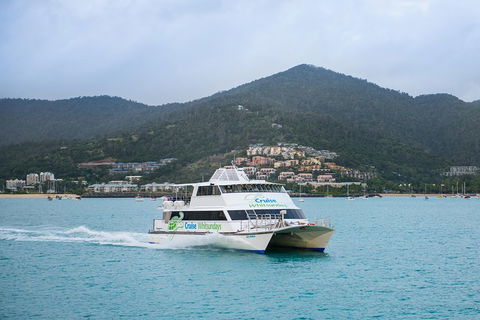 Whitsunday Islands Hopper Pass - Accommodation Guide 4