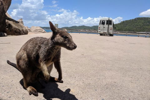 Magnetic Island Tour: Maggie Comprehensive - Accommodation Guide 0