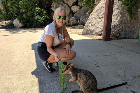Magnetic Island Tour: Maggie Comprehensive - Accommodation Guide 2