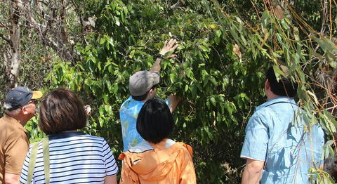 Magnetic Island Tour: Maggie Comprehensive - Accommodation Guide 4