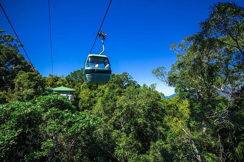 Classic Kuranda By Skyrail And Scenic Railway Including Rainforestation, Koala And Wildlife Park And Pamagirri Aboriginal Experi - Accommodation Asia 0