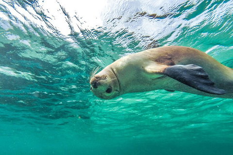 10-Day Adelaide To Perth Adventure Tour - Accommodation Asia 1