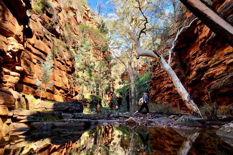 10-Day Adelaide To Perth Adventure Tour - Accommodation Asia 5
