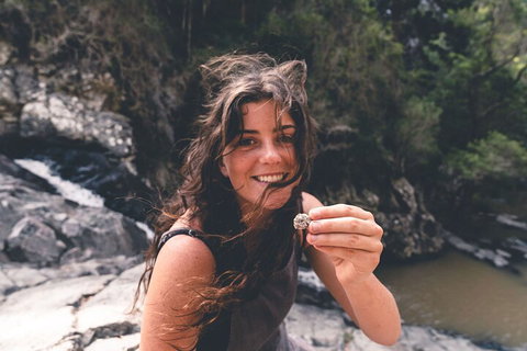 Springbrook AndTamborine Rainforest Tour Incl Natural Bridge And Glow Worm Cave - Accommodation Asia 1