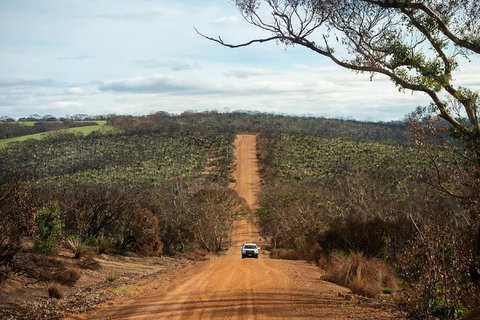 NEW TOUR - Kangaroo Island Road To Recovery Tour (1 Day/1 Night) - Accommodation Asia 2
