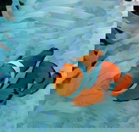 Seastar Luxury Outer Great Barrier Reef Island and Reef Tour from Cairns - Accommodation Asia