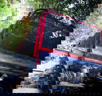 Blue Mountains Hop-on Hop-off Tour with Optional Scenic World Rides - Accommodation China