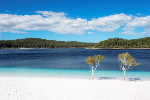 All-Inclusive Fraser Island Day Tour - Accommodation China 3