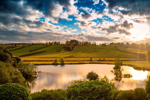 Josef Chromy Wines Winery Tour Including Tasting And Lunch - Accommodation Guide 3