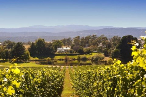 Josef Chromy Wines Winery Tour Including Tasting And Lunch - Accommodation Guide 4